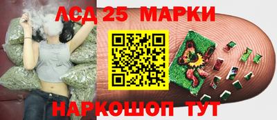 a pvp Краснодар