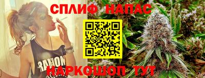 МДПВ Краснознаменск