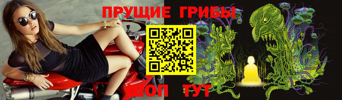 Галлюциногенные грибы Psilocybe  Вход с VPN  купить  сайты  Ишим 
