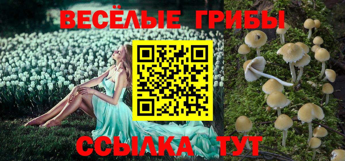Alpha-PVP СК кристаллы  МАРИХУАНА  Вход с VPN  Ишим  ГАШ  ГАШИШ  Cocaine  МЕФ  